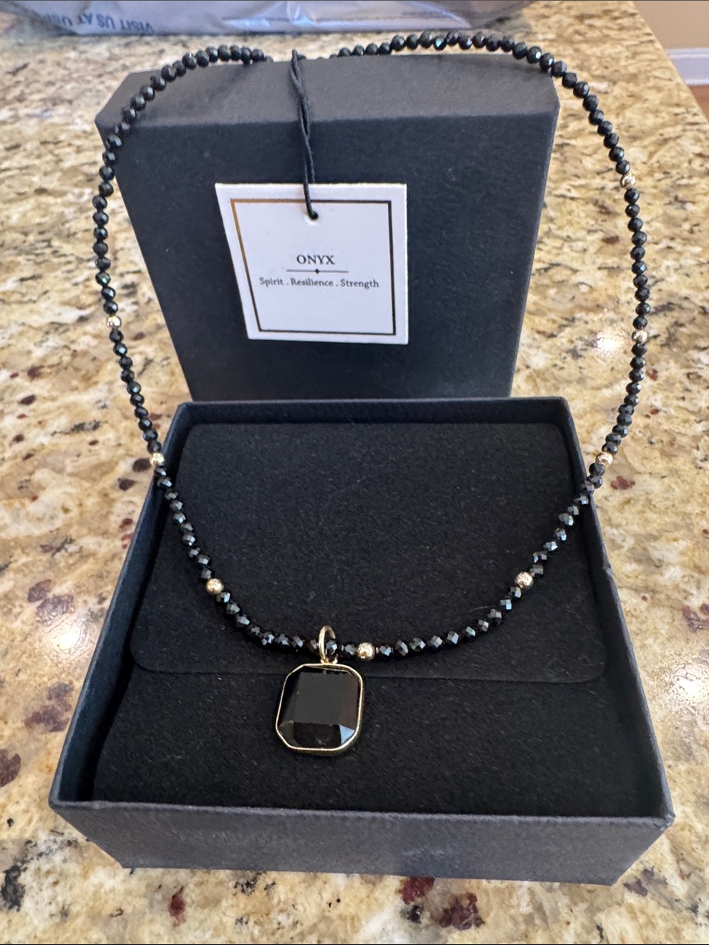 Onyx Black Faceted Pendant Necklace with Nrass Accents - Onyx NWT